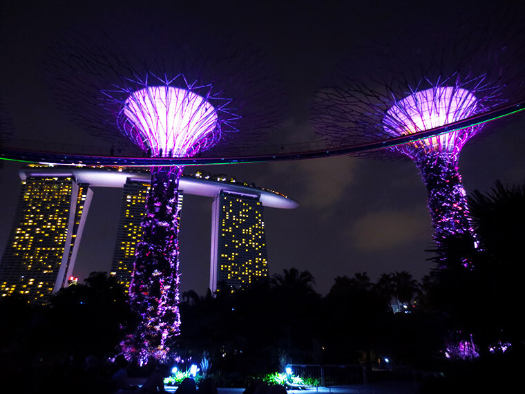 magic trees in the marina bay gardens in singapore