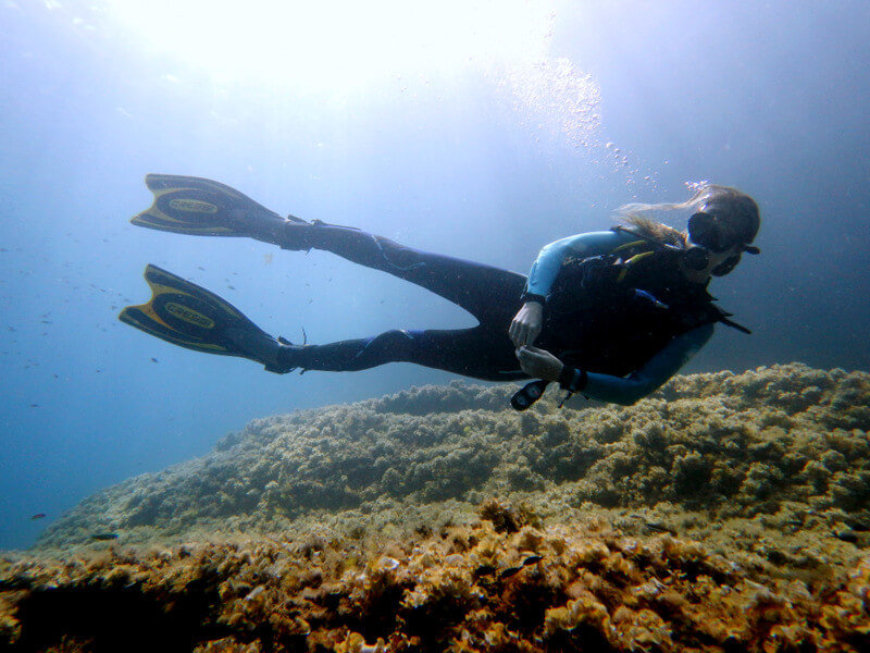 me scuba diving in mallorca around port d'andratx