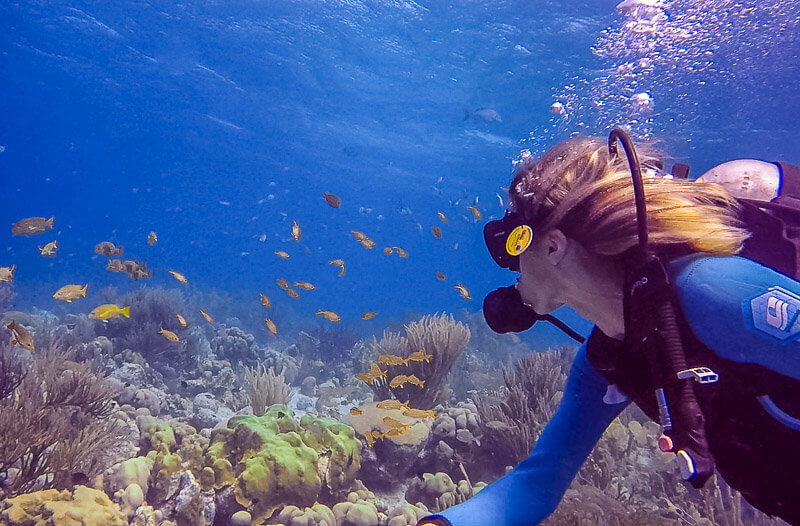 Scuba diving bonaire adventures underwater with loads of colorful fish and corals
