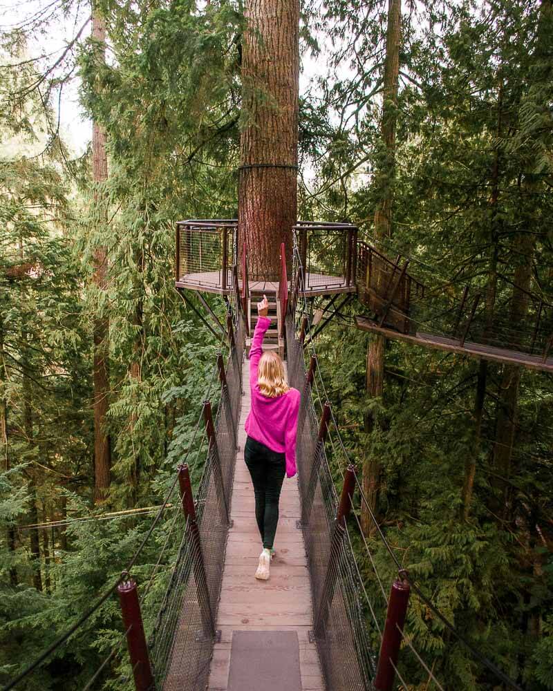 big birthdays call for big celebrations and where to better celebrate than high up in the trees at capitano suspension bridge park