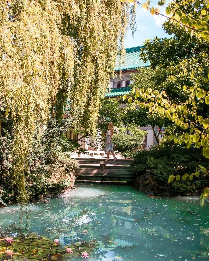 china town is always worth a visit so definitely include this cute Chinese garden in your Vancouver trip planner 