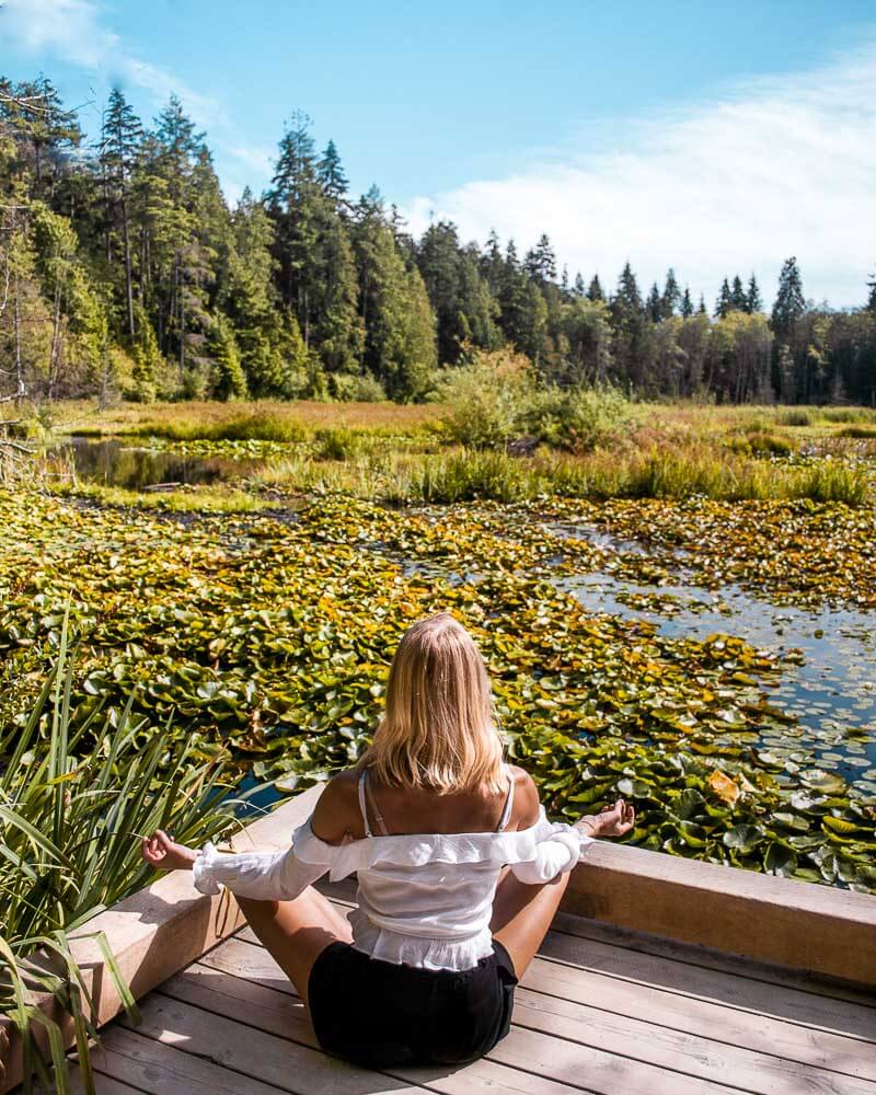 beaver lake gives away such a calm vibe so make sure to check it out when visiting Stanley park