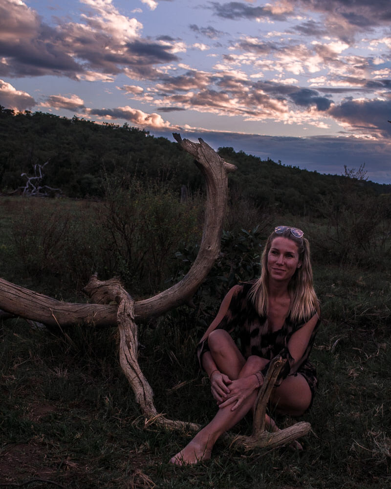 safari moments in the private game reserves in south africa